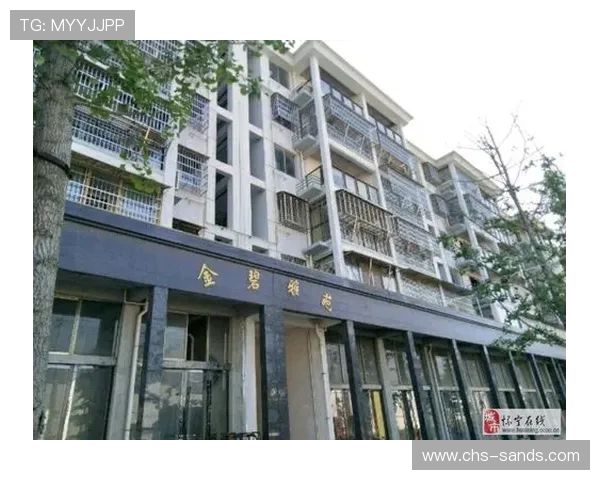 澳门置地广场位置周边环境介绍,了解周边配套设施与交通便利性